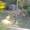 elviajd0422